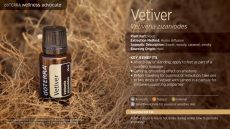 Vetiver - was my son's life changing experience